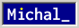 Michal's Badge